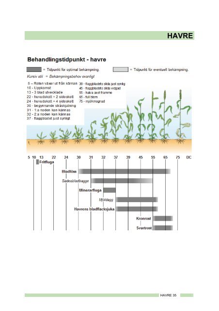 Svampar och insekter 2013 - bild - Jordbruksverket