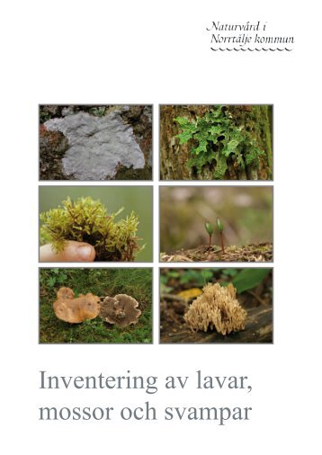 Inventering av lavar, mossor och svampar - Norrtälje kommun