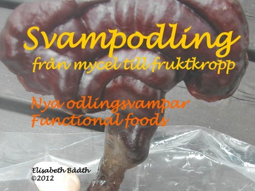 Svampodling