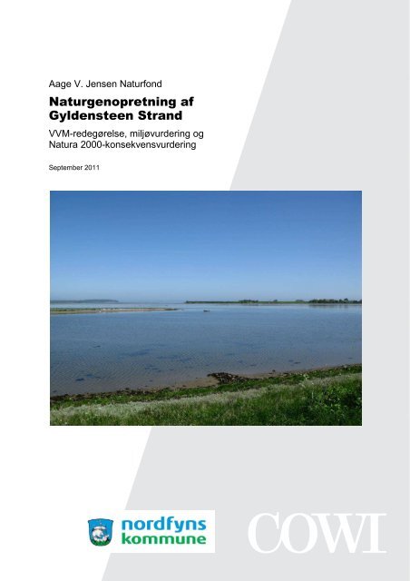 Naturgenopretning Af Gyldensteen Strand Aage V Jensens Fonde