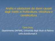 Analisi e valutazione dei danni causati dagli insetti in frutticoltura