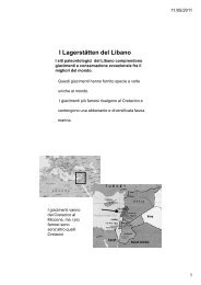 I Lagerstӓtten del Libano - Università dell'Insubria