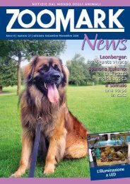 leonberger: un gigante vivace Spinone italiano: una ... - Zoomark srl