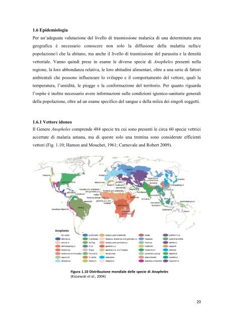 UNIVERSITA' DI ROMA “LA SAPIENZA” - Padis