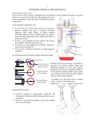 SISTEMA BIELLA MANOVELLA - Pesenti