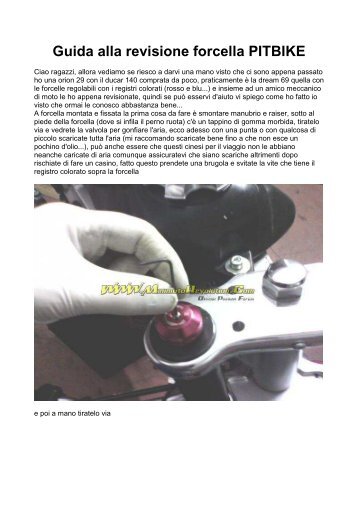 Guida alla revisione forcella PITBIKE.pdf - Mrmteam.it