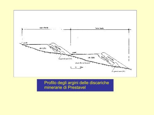 Il disastro della Val di Stava - Scienze della terra