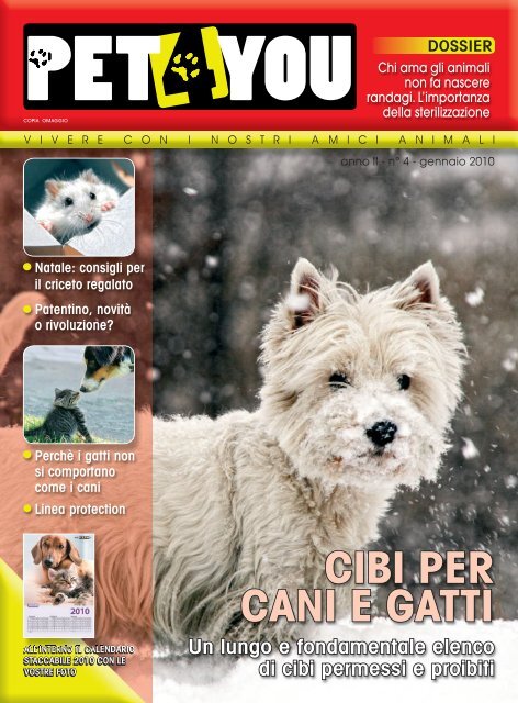 come sbarazzarsi di un gatto uti