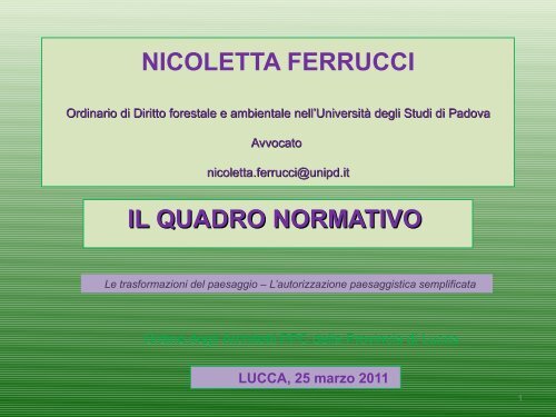 INTERVENTO FERRUCCI.pdf