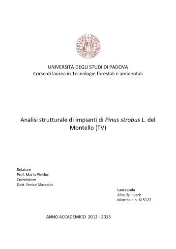 Documento PDF - Università degli Studi di Padova