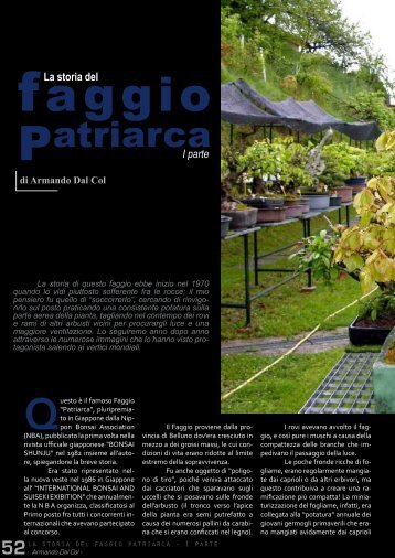 Patriarca - Napoli Bonsai Club