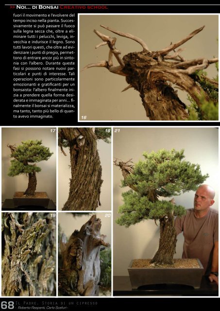 Patriarca - Napoli Bonsai Club