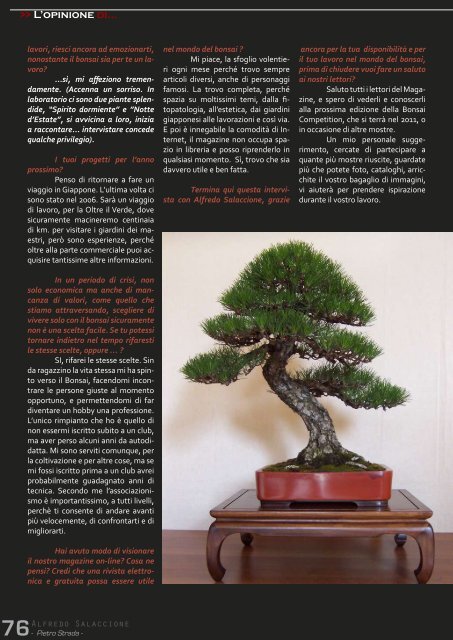 Patriarca - Napoli Bonsai Club