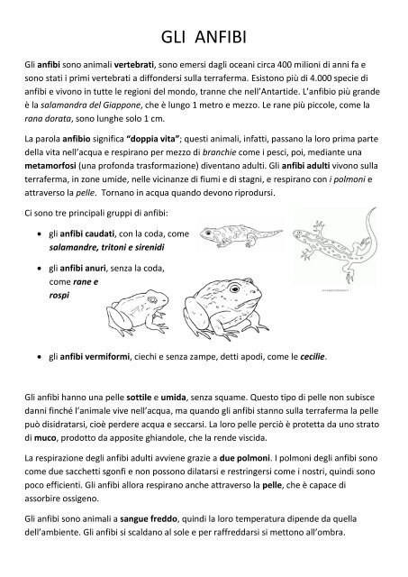 GLI ANFIBI.pdf - Maestra Raffaella