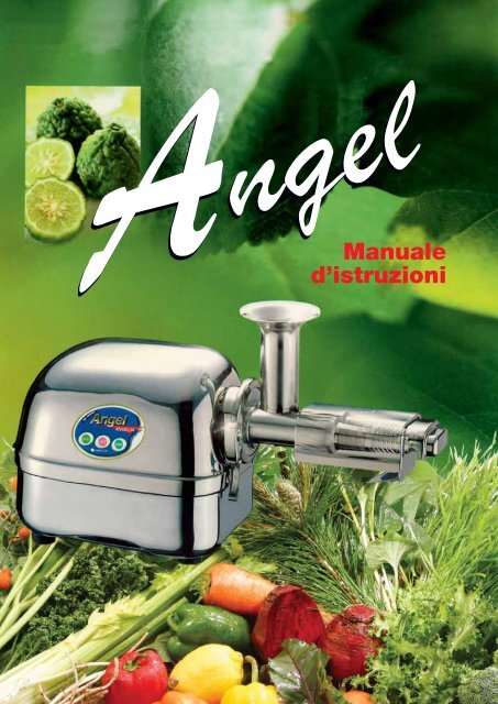 Catalogo PDF - Angel-italia.com