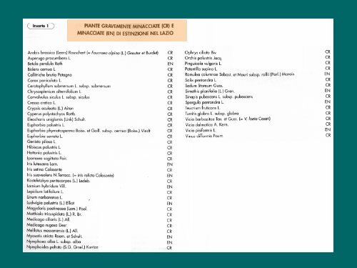 Costruzione dell'Herbarium