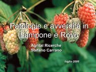 Patologie e avversità in Lampone e Rovo - maas.ccr