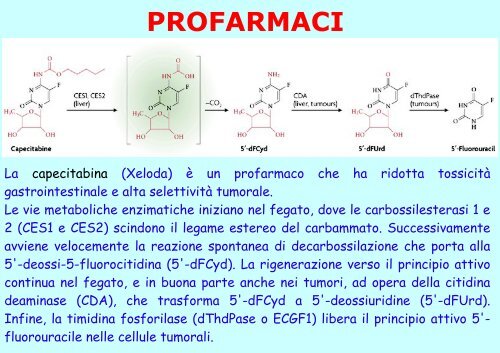 Profarmaci - luigifilocamo.it