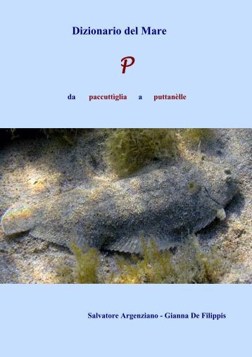 Dizionario del Mare - Vesuvioweb