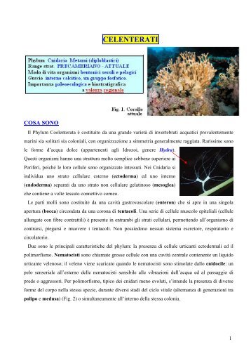 10.01.1 Celenterati - Scienze della terra