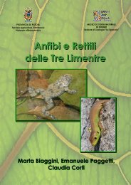 Anfibi e Rettili delle Tre Limentre - Provincia di Pistoia