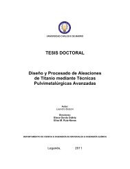 Tesis Doctoral - E-Archivo - Universidad Carlos III de Madrid