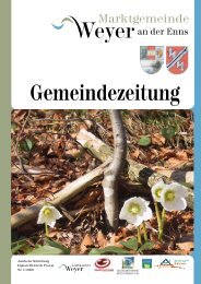 Gemeindezeitung - Weyer