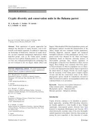 Cryptic diversity and conservation units in the Bahama parrot