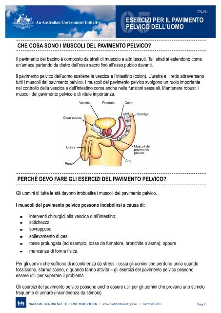 05esercizi per il pavimento pelvico dell'uomo - Bladder and Bowel ...