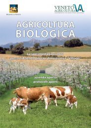 Scarica la pubblicazione in formato .pdf - Veneto Agricoltura