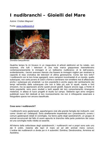 I nudibranchi – Gioielli del Mare - Accadueosub.it