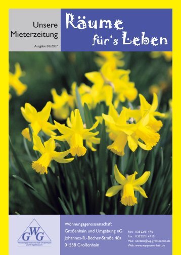 Ausgabe 03/2007 - Wohnungsgenossenschaft Großenhain und ...