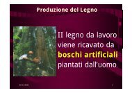 II legno da lavoro viene ricavato da boschi artificiali piantati dall'uomo.