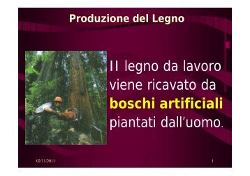 II legno da lavoro viene ricavato da boschi artificiali piantati dall'uomo.