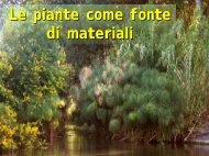 Le piante come fonte di materiali