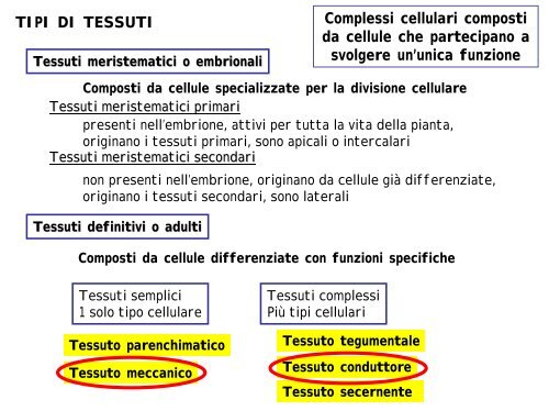 Le piante come fonte di materiali