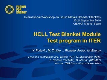 HCLL Test Blanket Module test program in ITER (Invited) - Ciemat