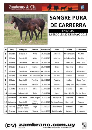 SANGRE PURA DE CARRERRA
