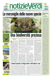 Animali domestici: nel Regno Unito i rettili battono i cani - Verdi