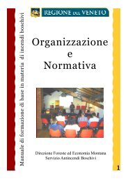 Normativa ed organizzazione - Regione Veneto