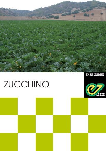 ZUCCHINO - Enza Zaden