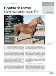 È partita da Ferrara la riscossa del cavallo Tpr - Ermes Agricoltura