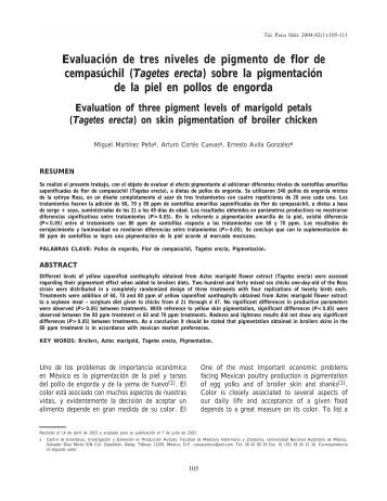 Evaluación de tres niveles de pigmento de flor de cempasúchil ...