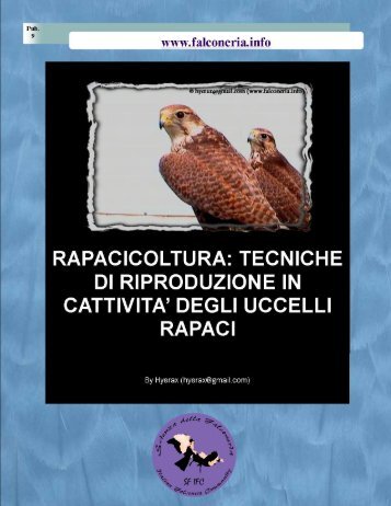 Rapacicoltura: tecniche di riproduzione in cattività ... - Falconeria.info