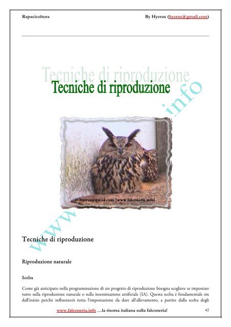 Rapacicoltura: tecniche di riproduzione in cattività ... - Falconeria.info