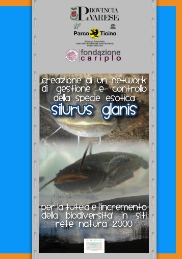 Silurus glanis - Home - Progetto Siluro - Fondazione Cariplo