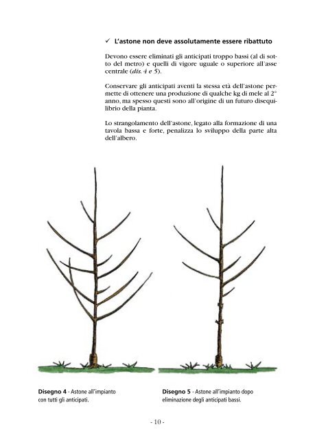 il solaxe e la “conduite centrifuge” - Institut Agricole Régional