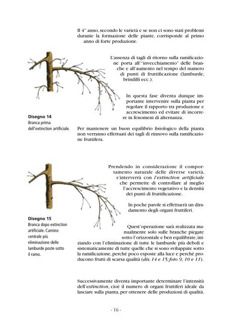 il solaxe e la “conduite centrifuge” - Institut Agricole Régional