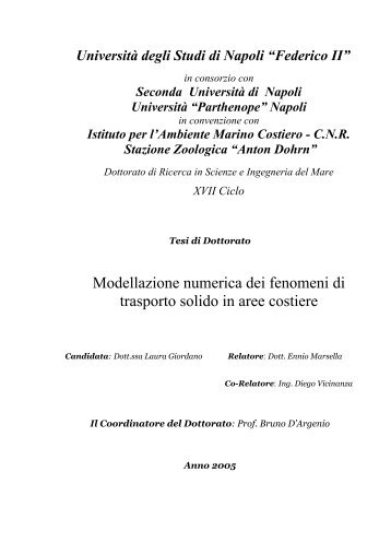 Modellazione numerica dei fenomeni di trasporto solido in - FedOA ...