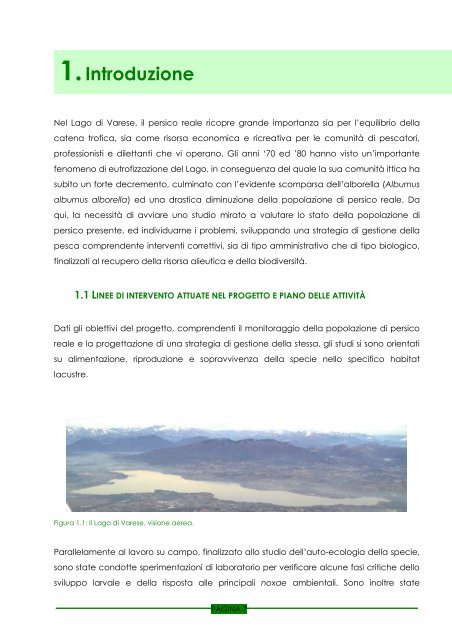 (Perca fluviatilis) nel Lago di Varese - Dote Regione Lombardia